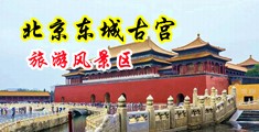 啊啊啊啊啊啊啊啊啊大鸡巴小视频中国北京-东城古宫旅游风景区